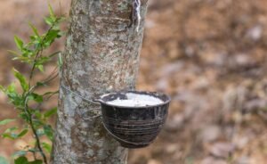 How is Rubber Made? - TYS Seals