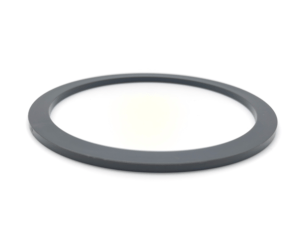 BRT back up rings