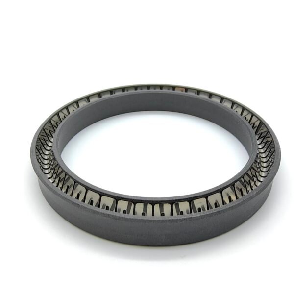 Spring Energised PTFE Rod Seals RVA