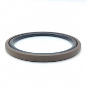 Glyd Ring Seals for Piston