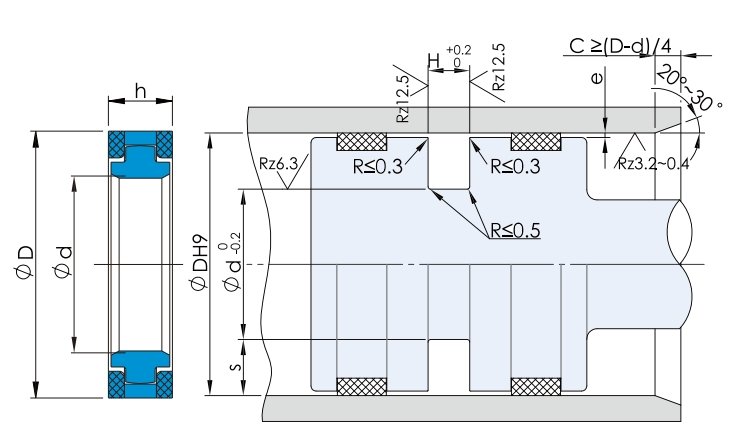 SPGW Piston Seal design drawings