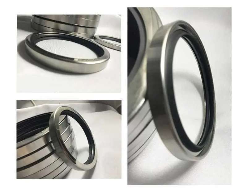 PTFE Double Lip Rotary Shaft Seals with Steel