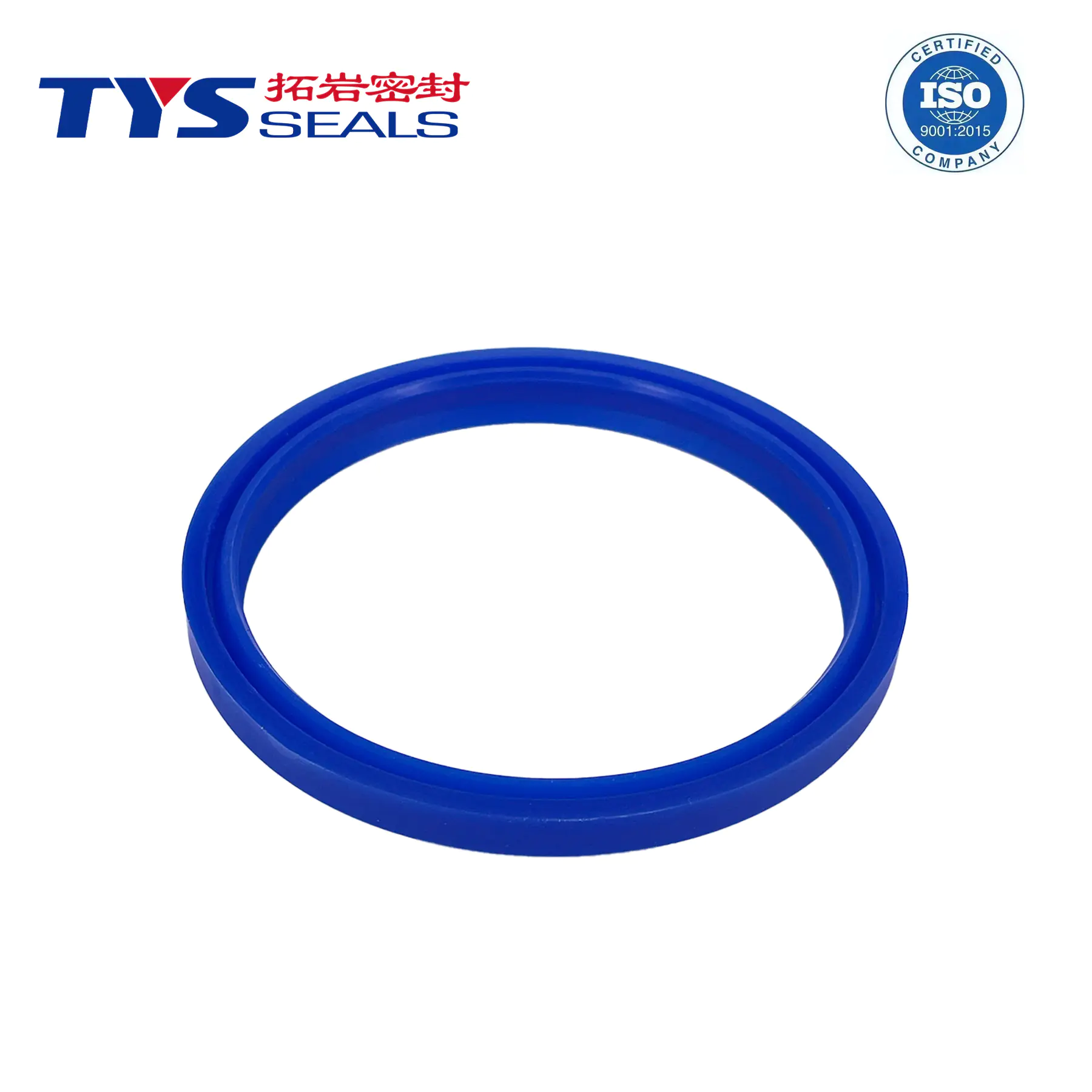 DHS wiper seal