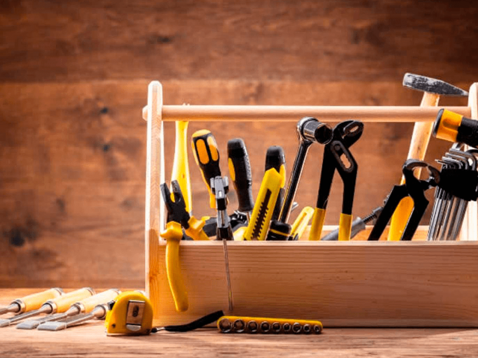 Lip Seals 101: Everything You Need to Know - TYS Seals