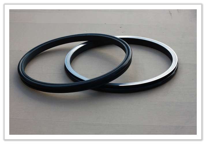 Duo Cone Seal