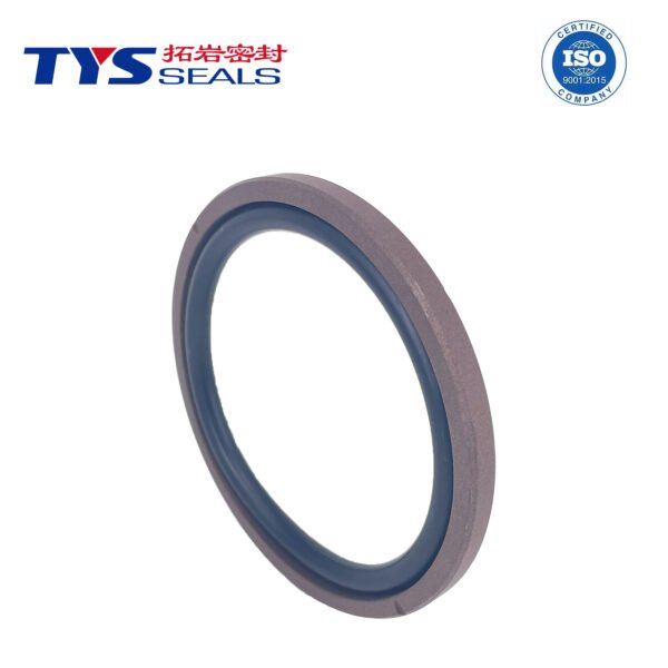 Glyd Ring Piston Seal
