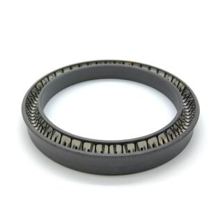 Spring-Energized PTFE Seals