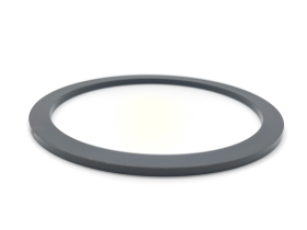 BRT back up rings