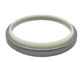 Metal Wiper Seal DKBI