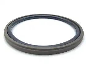 Single-acting piston seal GSD