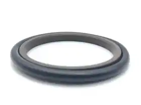 Glyd Ring Seals for Rod