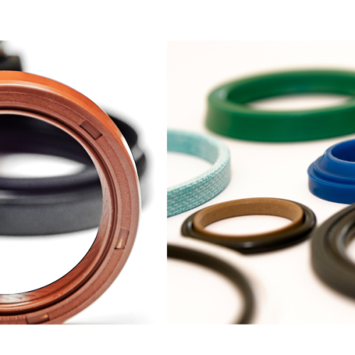 Hydraulic Seal vs Oil Seal